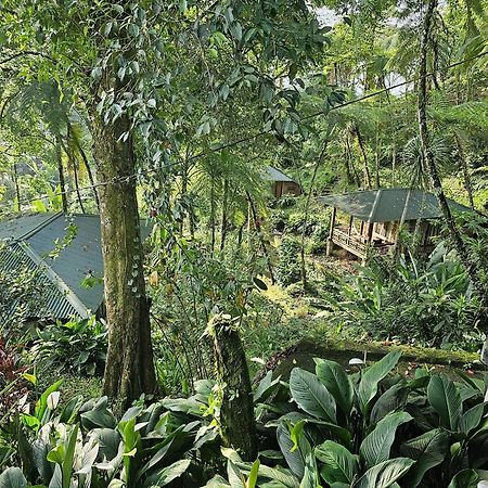 Rimba Eco Resort Tomohon المظهر الخارجي الصورة