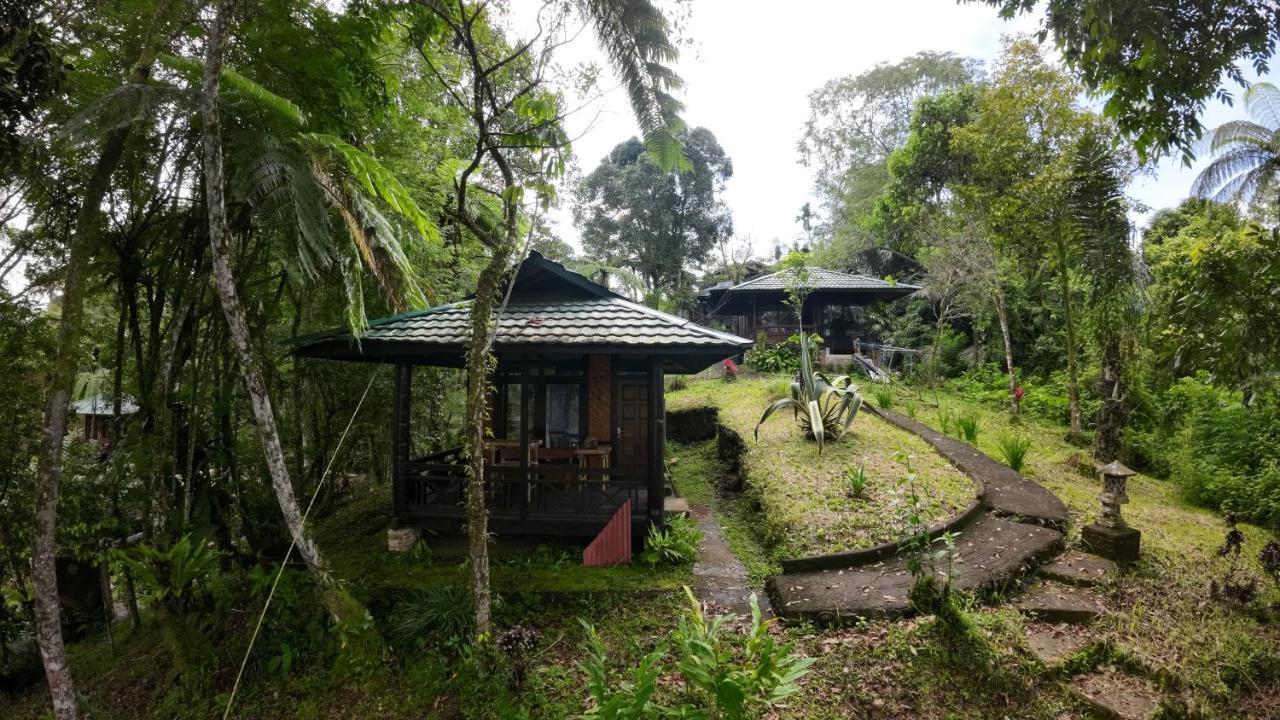 Rimba Eco Resort Tomohon المظهر الخارجي الصورة