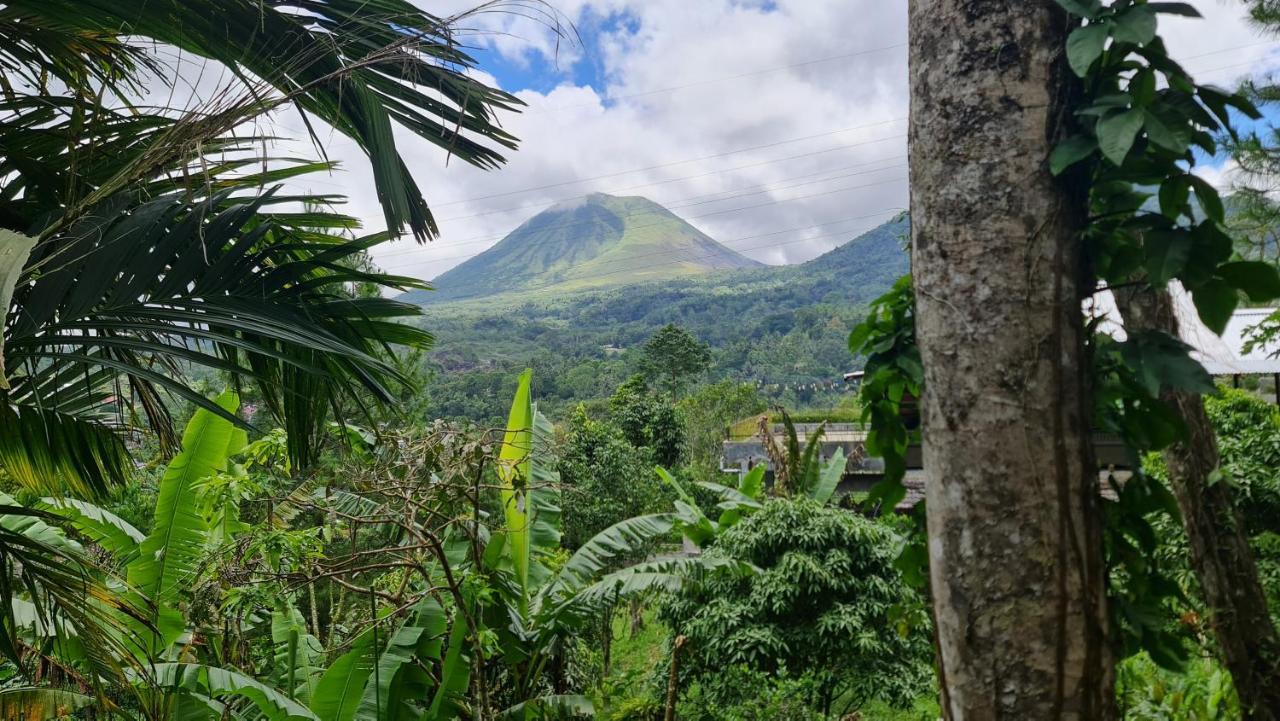 Rimba Eco Resort Tomohon المظهر الخارجي الصورة