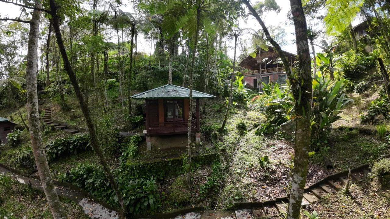 Rimba Eco Resort Tomohon المظهر الخارجي الصورة