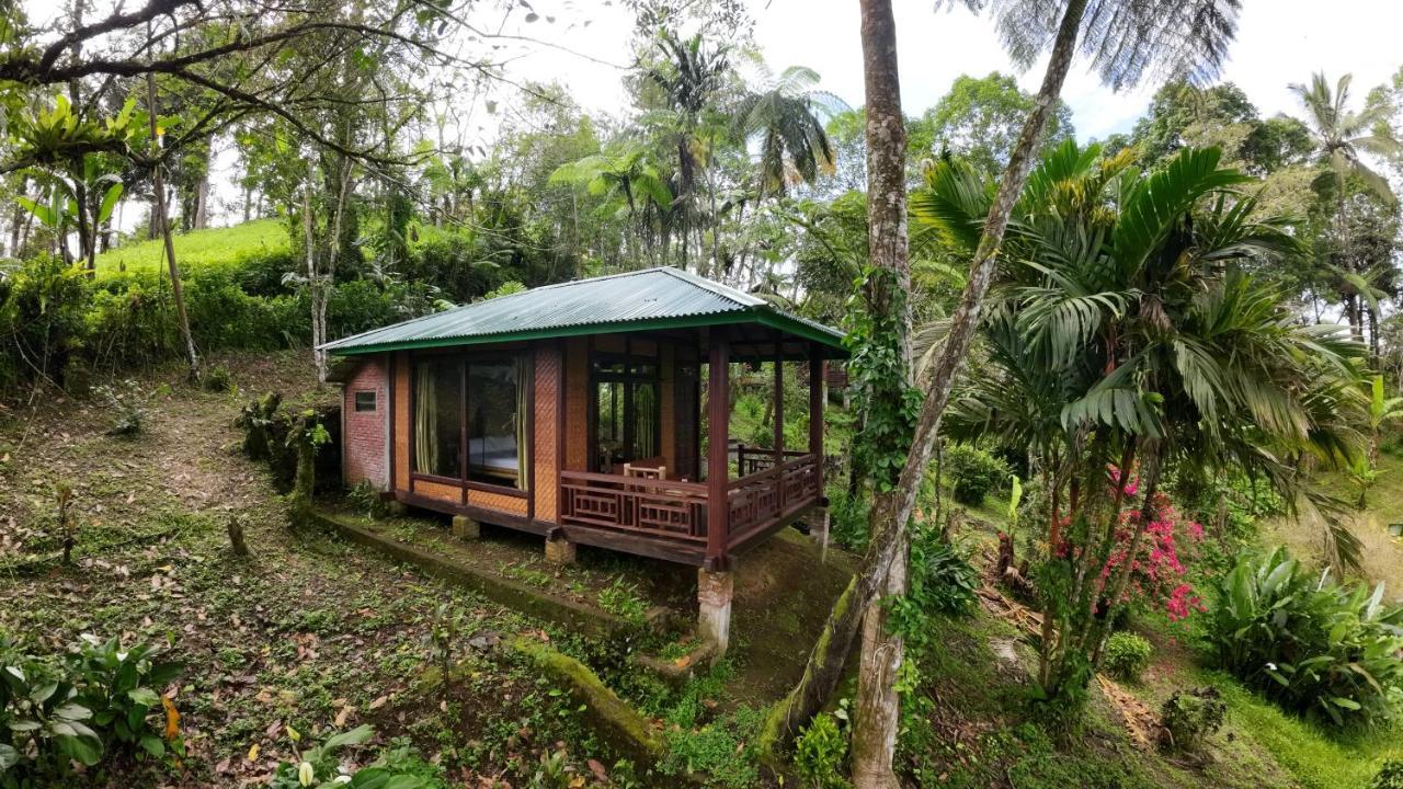 Rimba Eco Resort Tomohon المظهر الخارجي الصورة