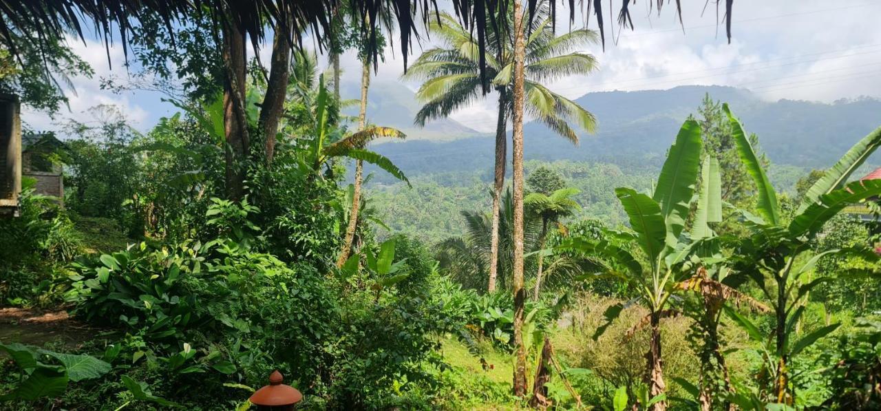 Rimba Eco Resort Tomohon المظهر الخارجي الصورة