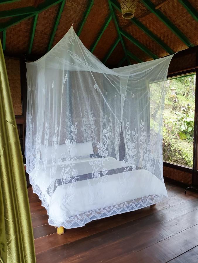 Rimba Eco Resort Tomohon المظهر الخارجي الصورة