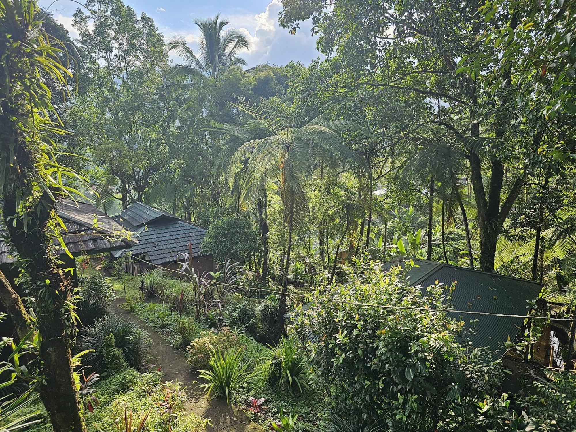 Rimba Eco Resort Tomohon المظهر الخارجي الصورة