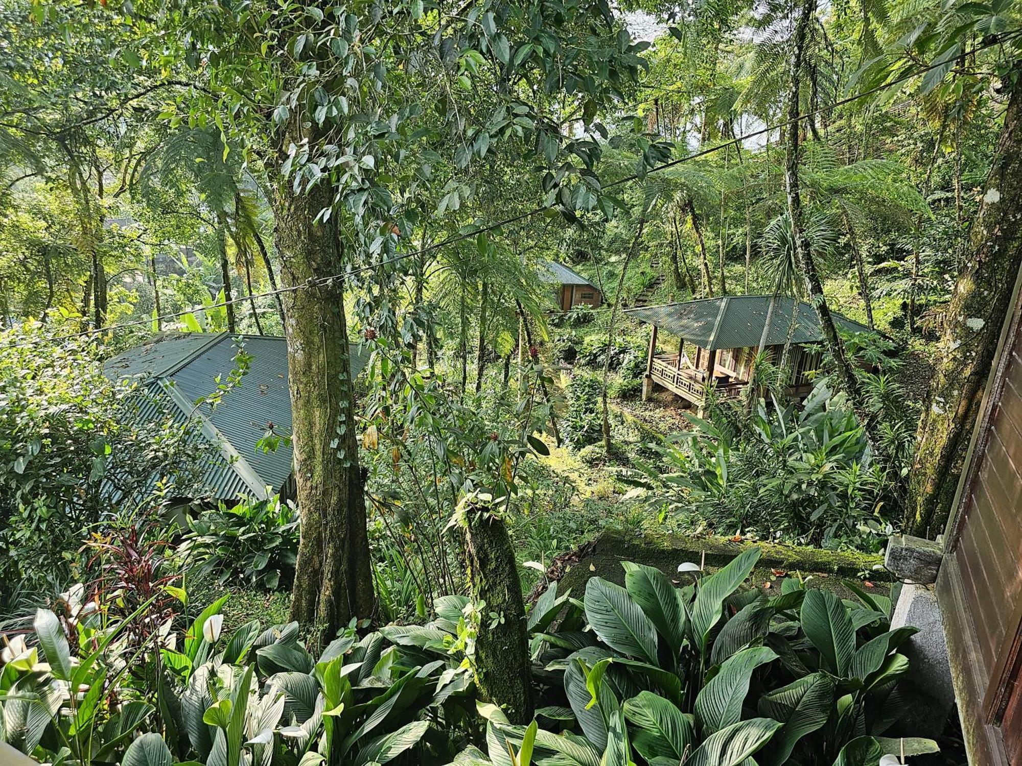Rimba Eco Resort Tomohon المظهر الخارجي الصورة